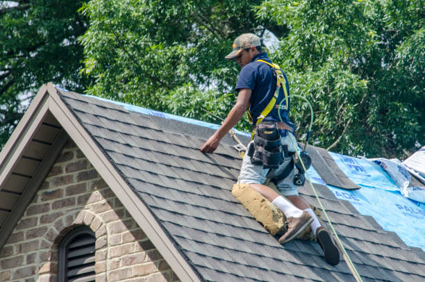 Best New Roof Installation  in Pond Creek, OK